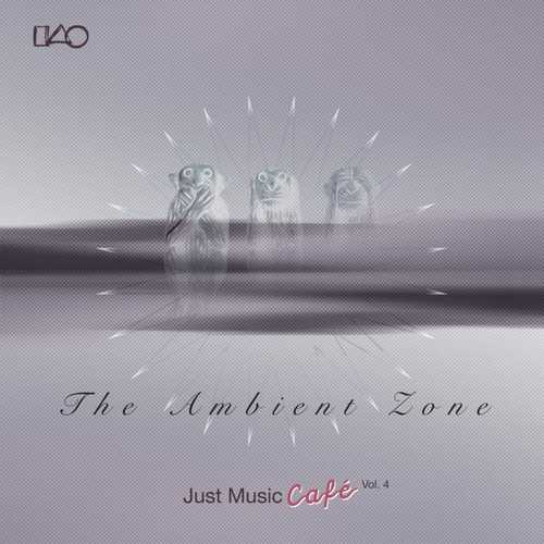 CD Shop - VARIOUS ARTISTS AMBIENT ZONE