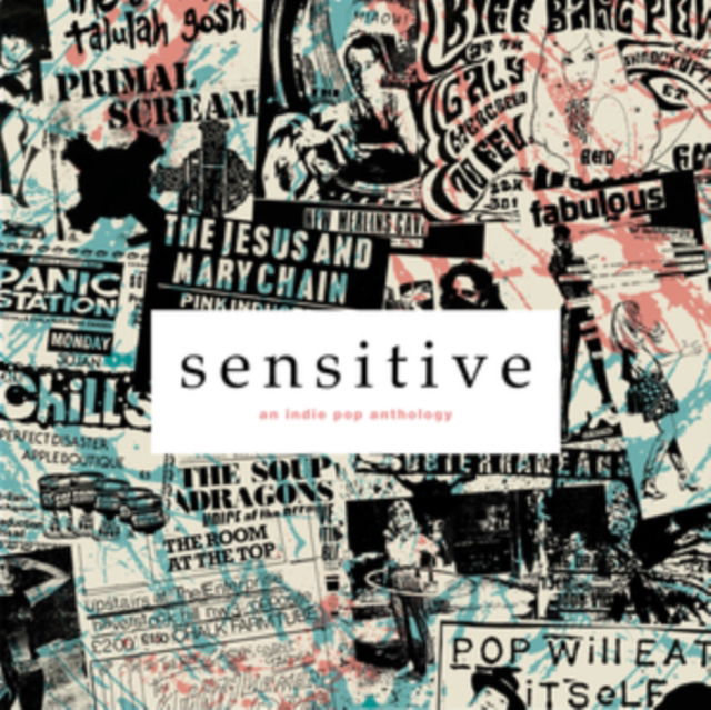 CD Shop - VARIOUS ARTISTS SENSITIVE: AN INDIE PO...