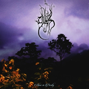 CD Shop - THE SOULLESS SHINE IN PURITY