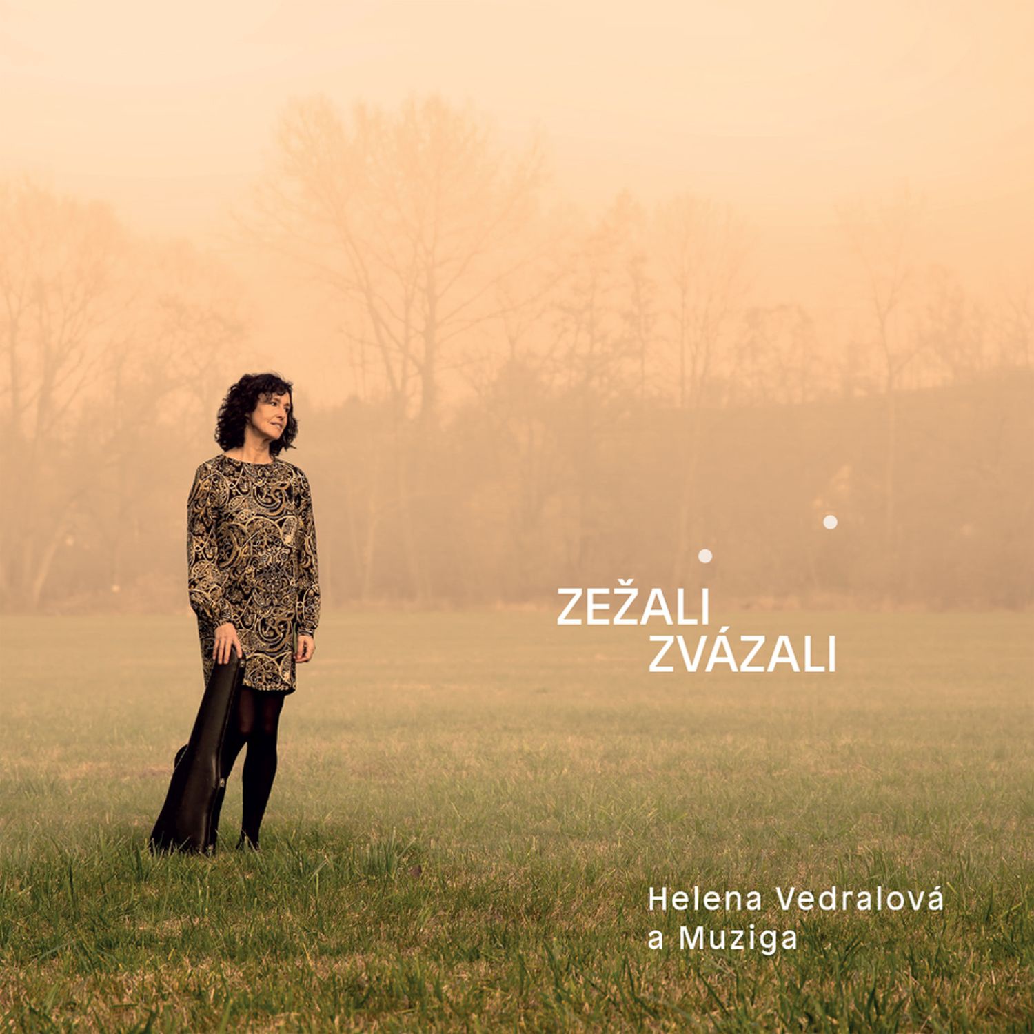 CD Shop - HELENA & MUZIGA VEDRALOVA ZEZALI ZVAZALI