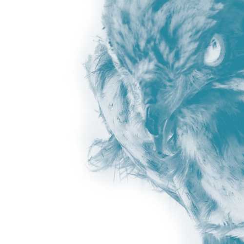 CD Shop - USE OF ASHES ICE