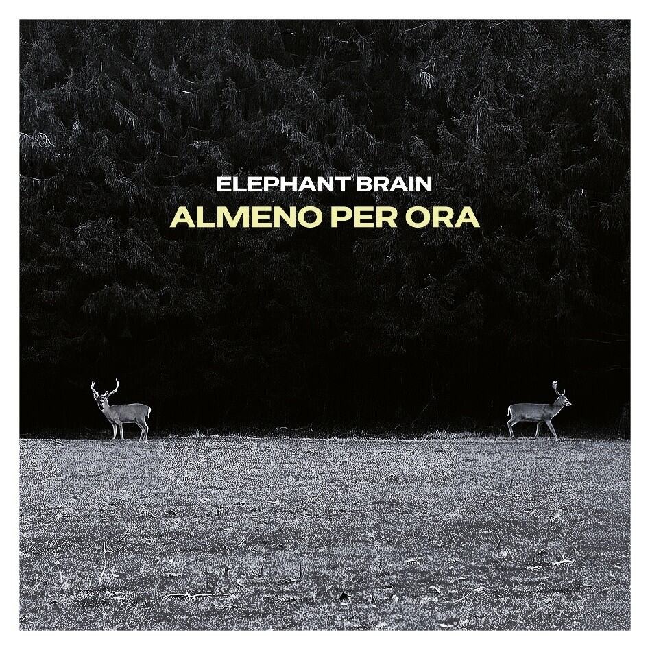 CD Shop - ELEPHANT BRAIN ALMENO PER ORA