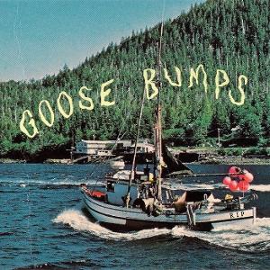 CD Shop - BOYSCOTT GOOSE BUMPS