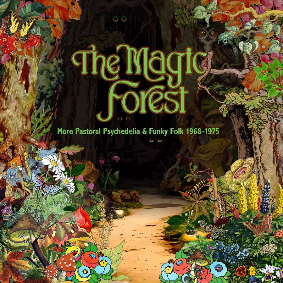 CD Shop - VARIOUS ARTISTS MAGIC FOREST (MORE PAS...