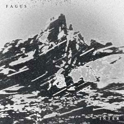 CD Shop - FAGUS INTER
