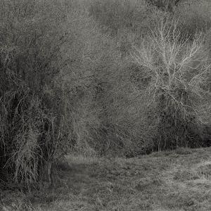 CD Shop - K. LEIMER ATROPHIES FOR PIANO