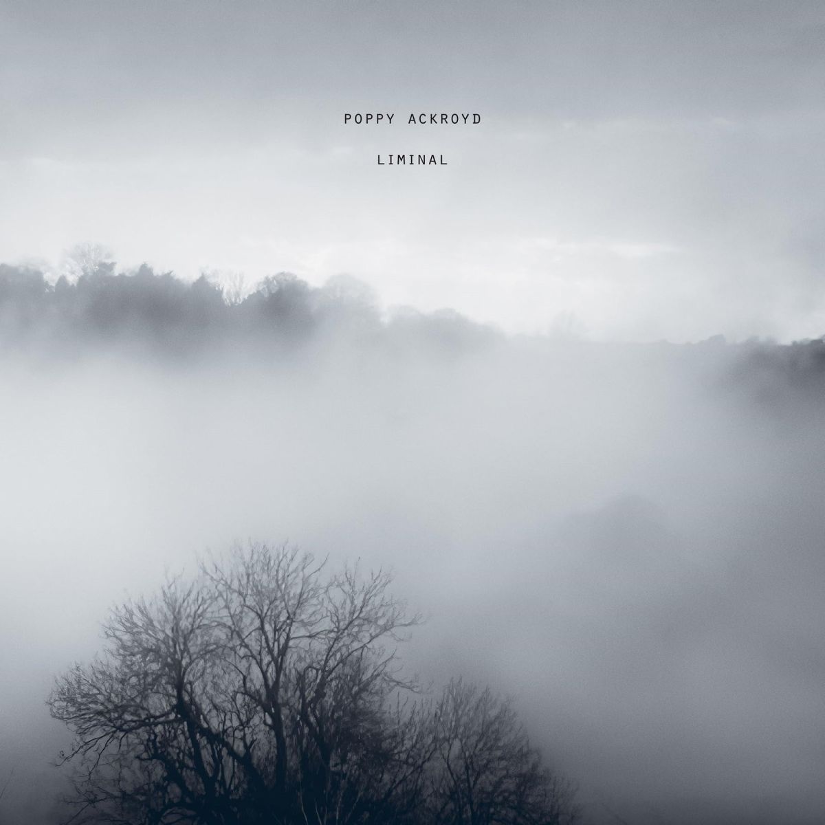 CD Shop - POPPY ACKROYD LIMINAL