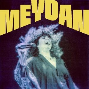 CD Shop - MERAL POLAT MEYDAN