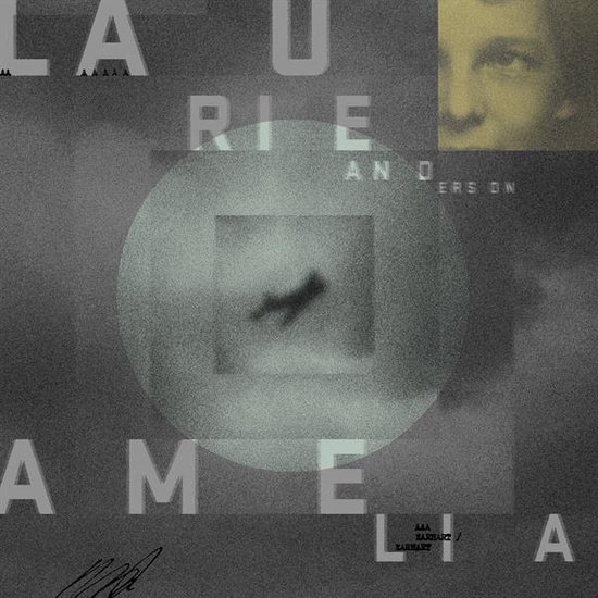 CD Shop - ANDERSON, LAURIE AMELIA