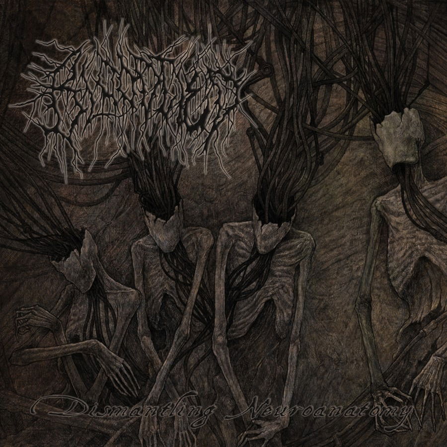 CD Shop - BLOODTIED DISMANTLING NEUROANATOMY