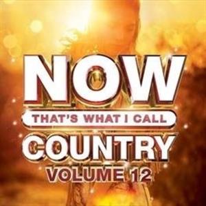 CD Shop - VARIOUS ARTISTS NOW THAT\