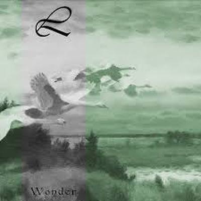 CD Shop - LUSTRE WONDER