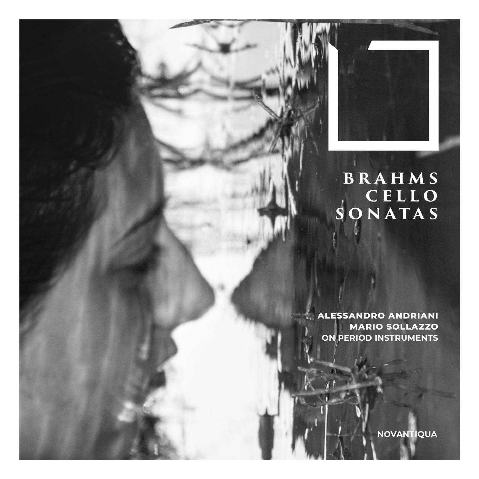 CD Shop - ALESSANDRO ANDRIANI,MARIO SOLLAZZO BRAHMS CELLO SONATAS