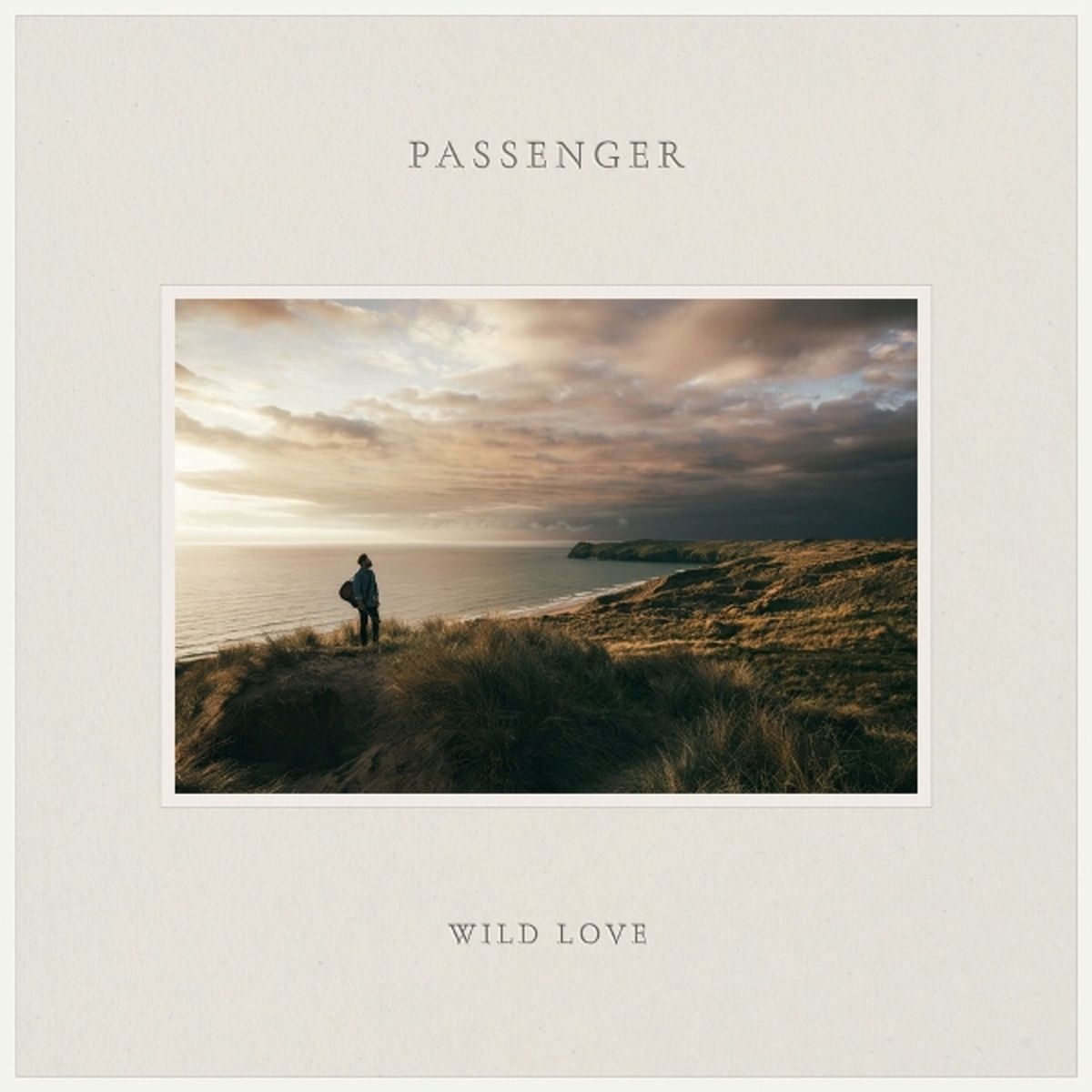 CD Shop - PASSENGER WILD LOVE