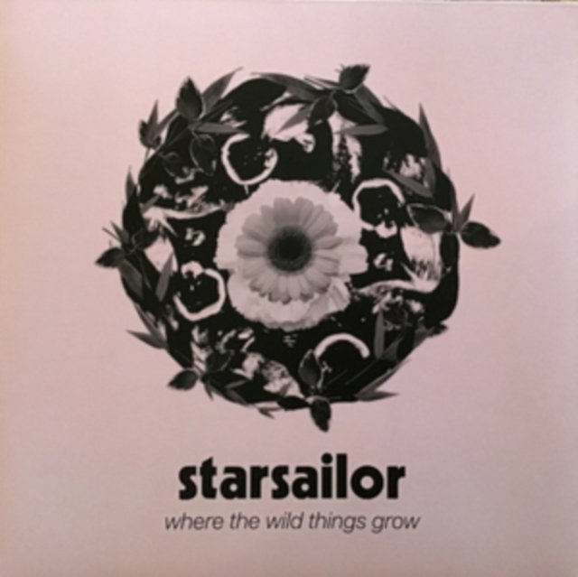CD Shop - STARSAILOR WHERE THE WILD THINGS GROW
