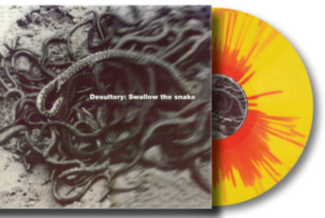 CD Shop - DESULTORY SWALLOW THE SNAKE