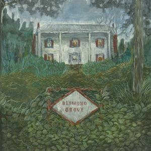 CD Shop - WEIRS DIAMOND GROVE