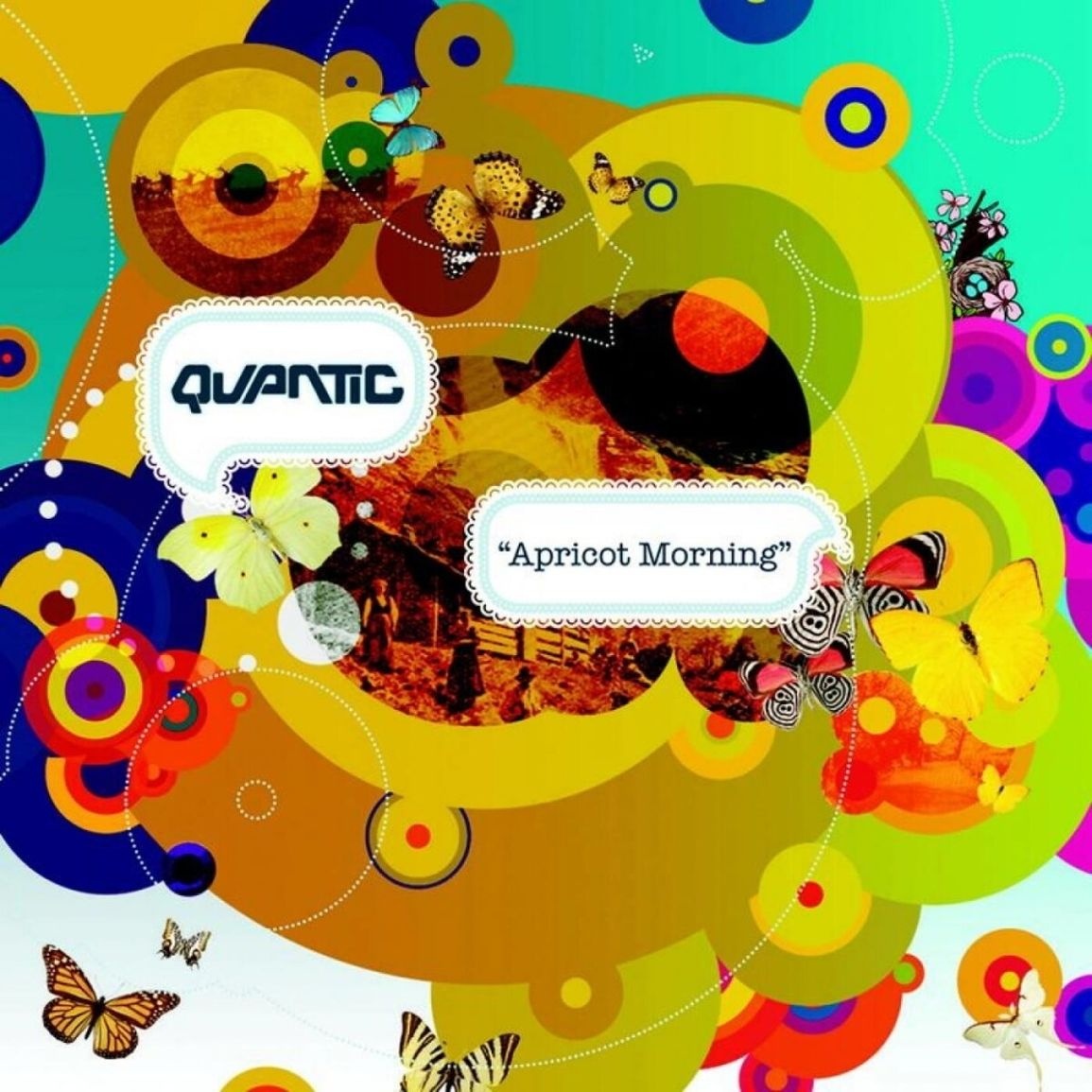 CD Shop - QUANTIC Apricot Morning