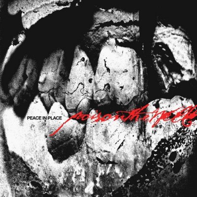 CD Shop - POISON THE WELL PEACE IN PLACE
