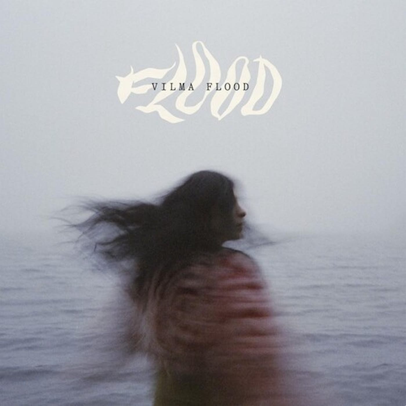 CD Shop - VILMA FLOOD FLOOD