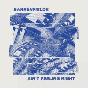 CD Shop - BARRENFIELDS AIN\