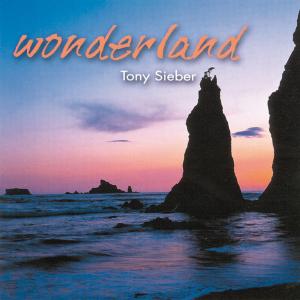 CD Shop - TONY SIEBER WONDERLAND