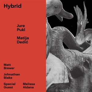 CD Shop - JURE & MATIJA DEDIC PUKL HYBRID