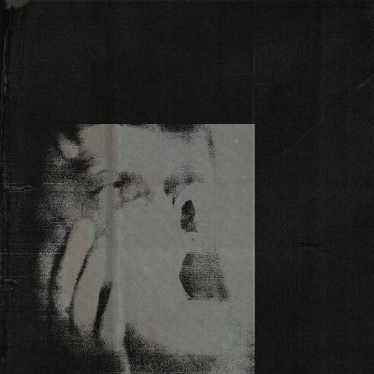 CD Shop - DITZ NEVER EXHALE