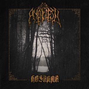 CD Shop - ANTIFLESH HOSANNA