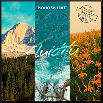 CD Shop - SONOSPHERE FLUIDITY