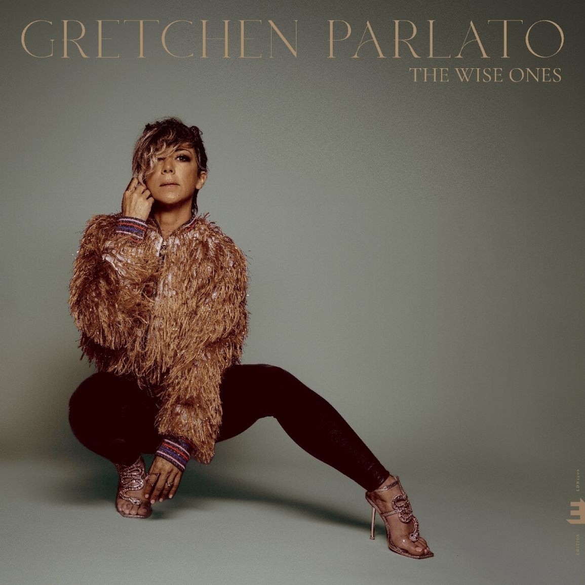 CD Shop - GRETCHEN PARLATO WISE ONES