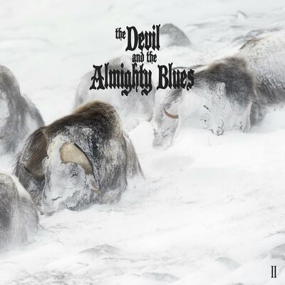 CD Shop - THE DEVIL AND THE ALMIGHTY BLUES II