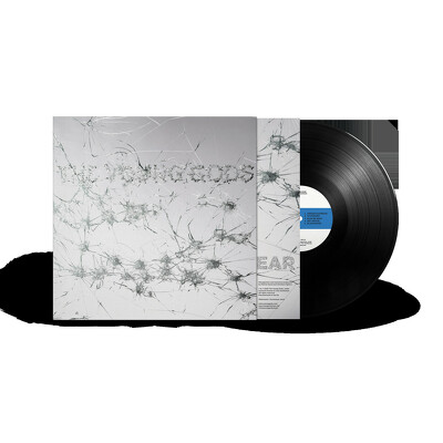 CD Shop - THE YOUNG GODS APPEAR DISAPPEAR