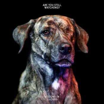 CD Shop - VISIONS IN CLOUDS ARE YOU STILL.. -DIGI-