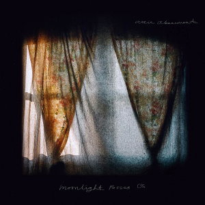 CD Shop - ATTIC ABASEMENT MOONLIGHT PASSES ON