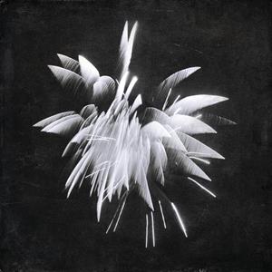 CD Shop - BRENT WINDLER NEW MORNING HOWL