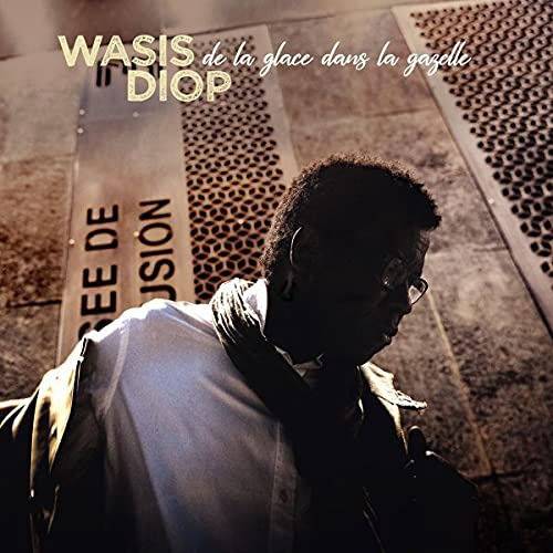 CD Shop - WASIS DIOP DE LA GLACE DANS LA GA...