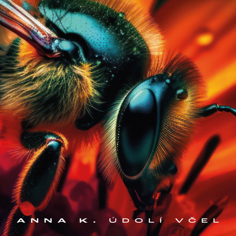 CD Shop - ANNA K UDOLI VCEL