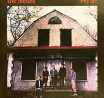 CD Shop - FEELIES ONLY LIFE