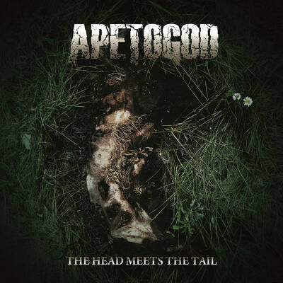 CD Shop - APE TO GOD THE HEAD MEETS THE TAIL
