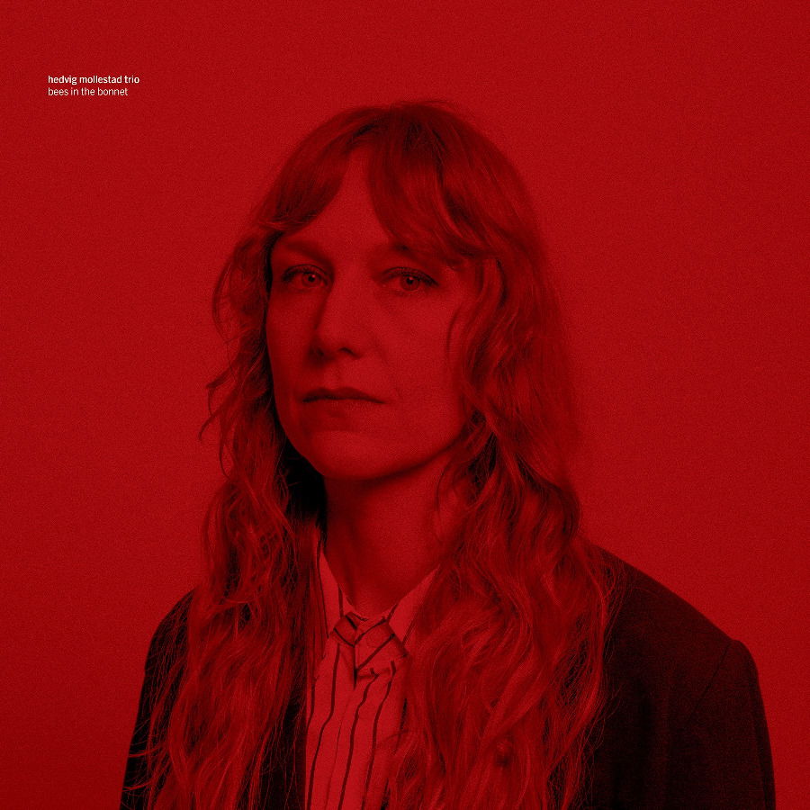 CD Shop - HEDVIG MOLLESTAD TRIO BEES IN THE BONNET
