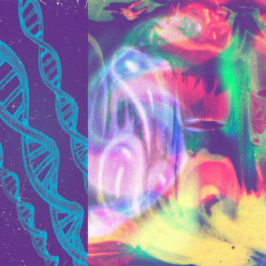 CD Shop - NAP EYES NEON GATE