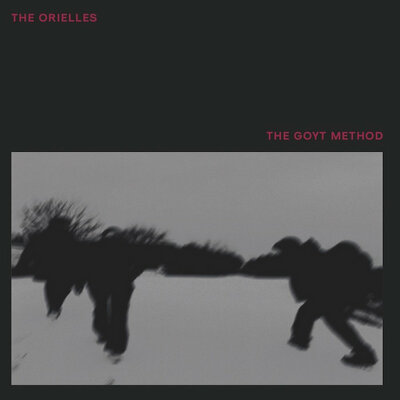 CD Shop - ORIELLES, THE THE GOYT METHOD