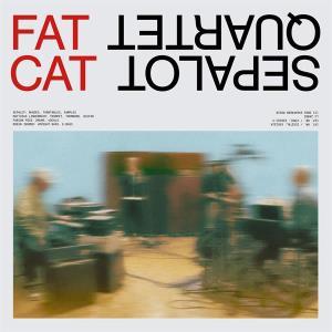 CD Shop - SEPALOT QUARTET FATCAT