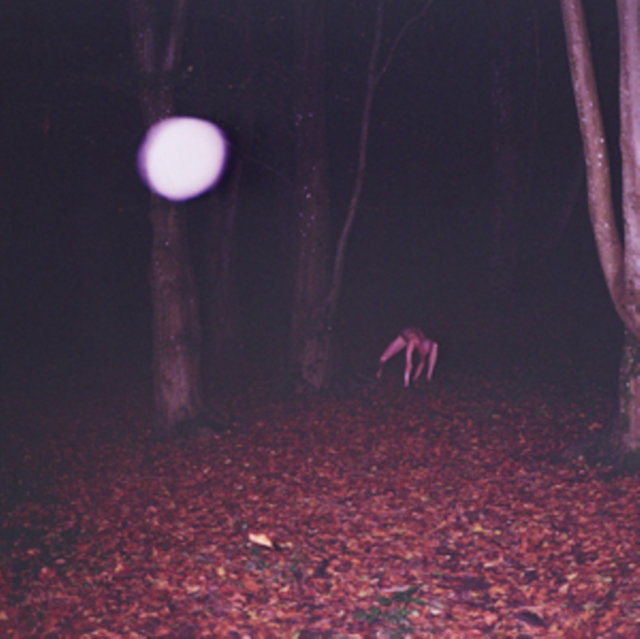CD Shop - BUZZARD BUZZARD BUZZARD SKINWALKER