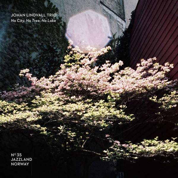 CD Shop - JOHAN LINDVALL TRIO NO CITY, NO TREE, NO LAKE