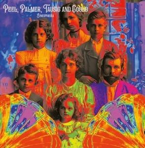 CD Shop - PEEL,PALMER,TAUSIG & GOULD SYNESTHESIA