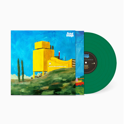 CD Shop - FLORAL IMAGE GONE DOWN MEADOWLAND