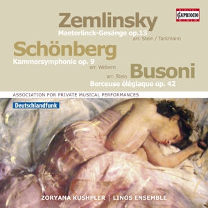 CD Shop - ZEMLINSKY ASSOCIATION FOR PRIVATE M