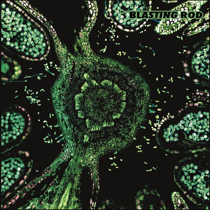 CD Shop - BLASTING ROD OF WILD HAZEL